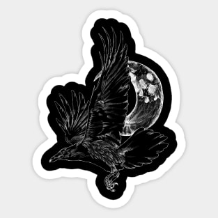 Raven in Flight Sticker